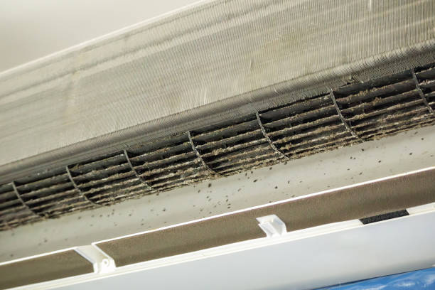 Best Air Duct Cleaning Company Near Me  in Glide, OR